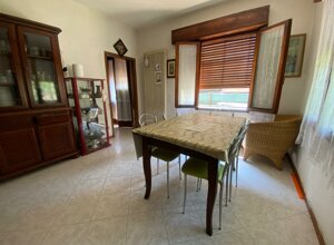 img-20250625-wa0027.jpeg img-20250625-wa0027.jpeg