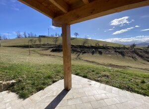 img_0793.jpeg img_0793.jpeg