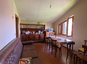 img-20250625-wa0061.jpeg img-20250625-wa0061.jpeg