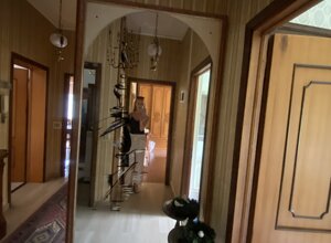 img_4831.jpeg img_4831.jpeg
