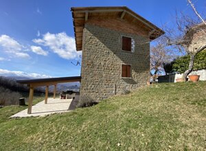 img_0786.jpeg img_0786.jpeg