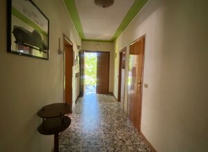 img-20250625-wa0055.jpeg img-20250625-wa0055.jpeg