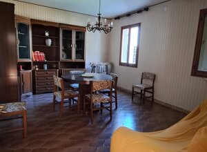 img-20251024-wa0029.jpeg img-20251024-wa0029.jpeg