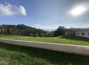 img_6976.jpeg img_6976.jpeg