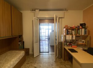 img_6965.jpeg img_6965.jpeg