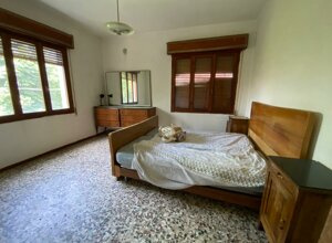 img-20250625-wa0046.jpeg img-20250625-wa0046.jpeg