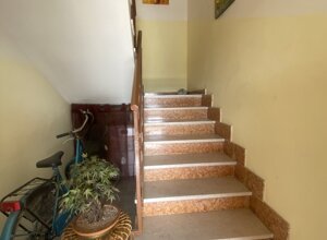 img_6980.jpeg img_6980.jpeg