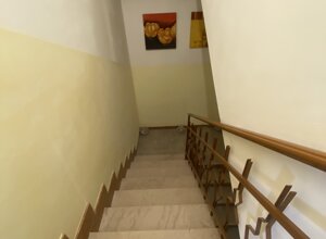 img_6979.jpeg img_6979.jpeg