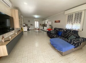 img_6977.jpeg img_6977.jpeg