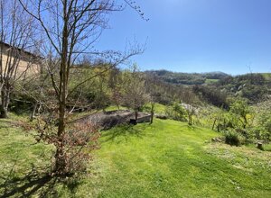 img_2089.jpeg