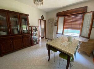 img-20250625-wa0031.jpeg img-20250625-wa0031.jpeg