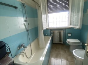 img_6972.jpeg img_6972.jpeg