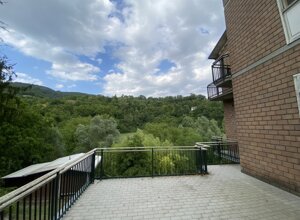 img_4817.jpeg img_4817.jpeg