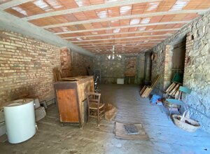 img-20250819-wa0068.jpeg img-20250819-wa0068.jpeg