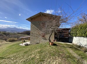 img_0797.jpeg img_0797.jpeg