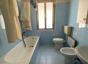 img-20250819-wa0056.jpeg img-20250819-wa0056.jpeg