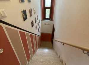 img_0290.jpeg img_0290.jpeg