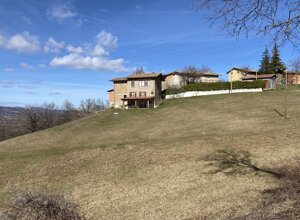 img_0787.jpeg img_0787.jpeg