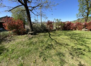 img_2096.jpeg