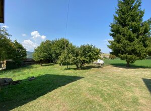 img-20250819-wa0063.jpeg img-20250819-wa0063.jpeg