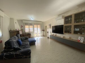 img_6974.jpeg img_6974.jpeg