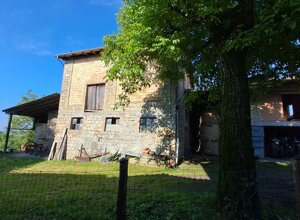 img-20251024-wa0019.jpeg img-20251024-wa0019.jpeg