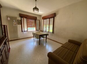 img-20250625-wa0047.jpeg img-20250625-wa0047.jpeg