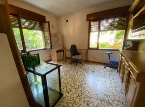 img-20250625-wa0037.jpeg img-20250625-wa0037.jpeg