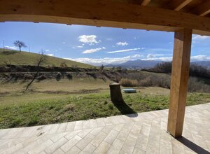 img_0791.jpeg img_0791.jpeg