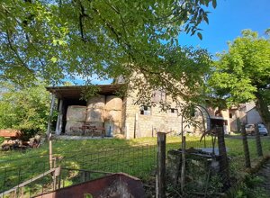 img-20251024-wa0020.jpeg img-20251024-wa0020.jpeg