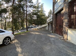 img_1590.jpeg img_1590.jpeg