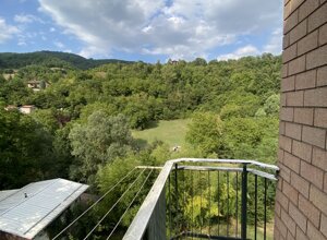 img_4846.jpeg img_4846.jpeg