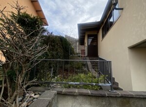 img_0134.jpeg img_0134.jpeg