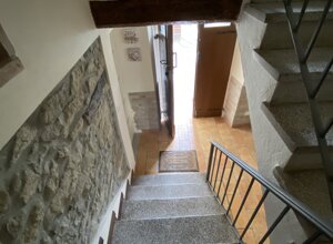 img_4300.jpeg img_4300.jpeg