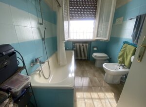 img_6983.jpeg img_6983.jpeg