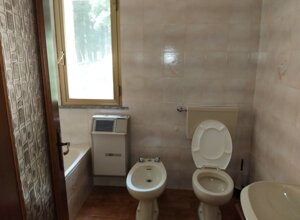 img_20250807_113849.jpeg img_20250807_113849.jpeg