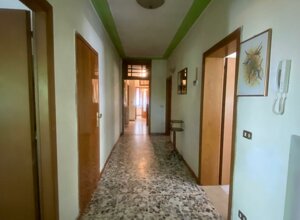 img-20250625-wa0051.jpeg img-20250625-wa0051.jpeg