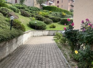 img_3190.jpeg