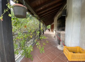 img_6029.jpeg