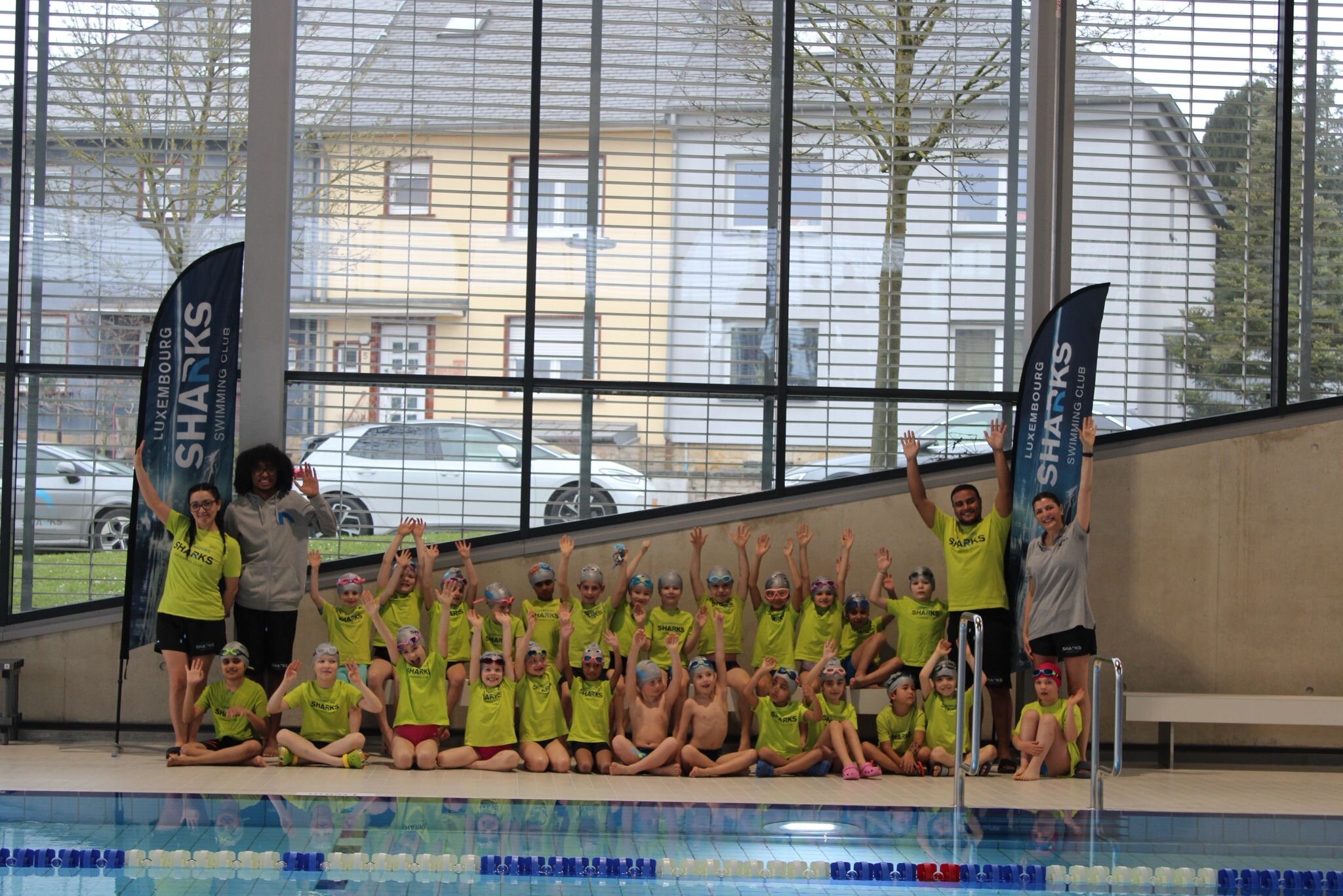 SHARKS newsletter &ndash; December 2025 to January 2026