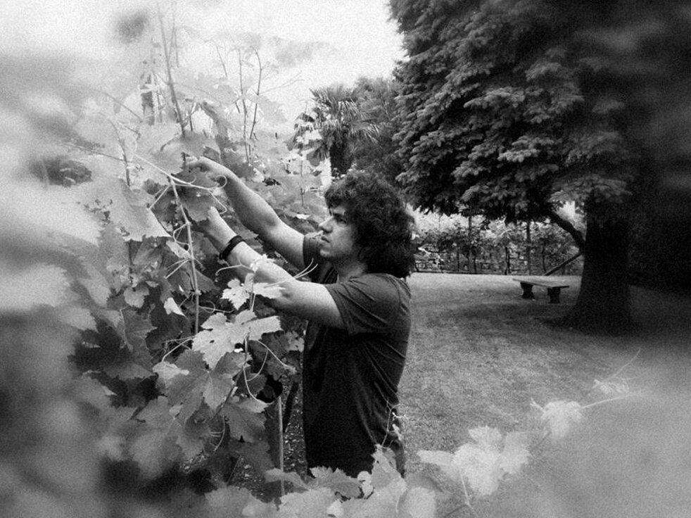 hokuto no wine matteo rainieri bn.jpeg hokuto no wine matteo rainieri bn.jpeg