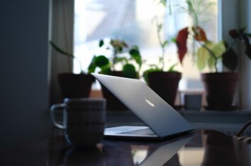 niek-doup-or4iuh0cxjs-unsplash