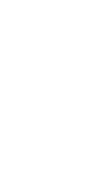 logo_flazio copia logo_flazio copia