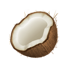 coconut
