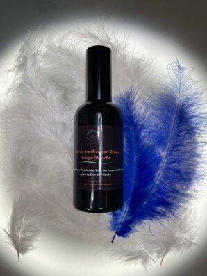 whatsapp image 2026-02-24 at 00.02.27.jpeg