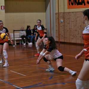 dsc_10079.jpeg