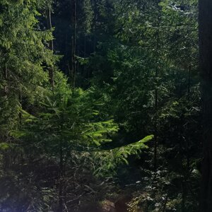 img_20260716_094708.jpeg