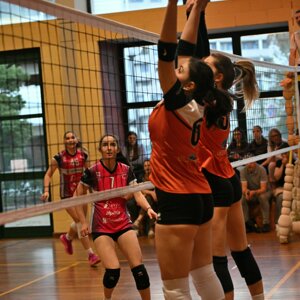 dsc_9822.jpeg