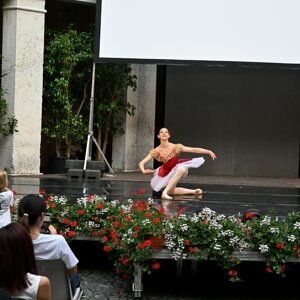 dsc_1240.jpeg