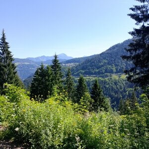 img_20260709_095529.jpeg